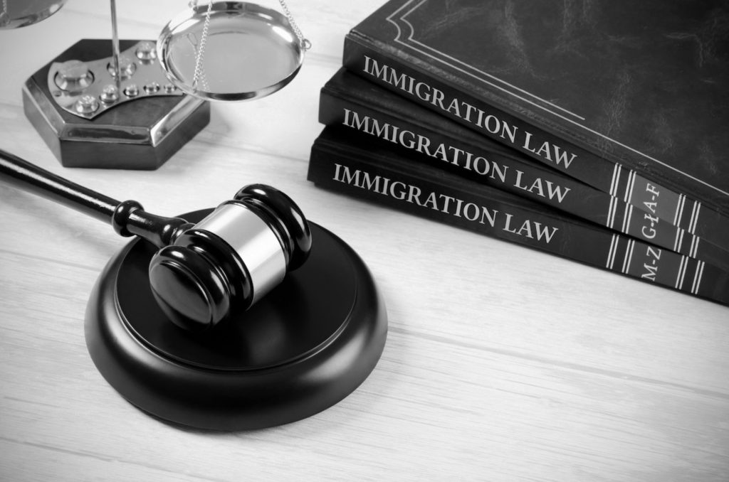 Immigration law books